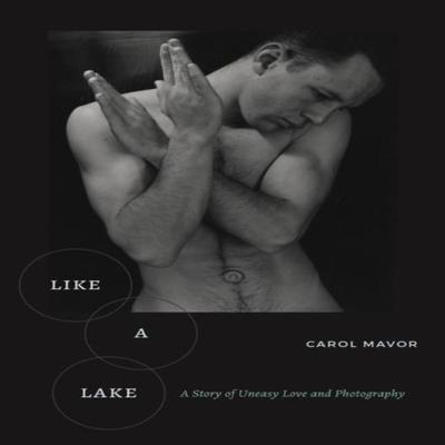 Like a Lake by Carol Mavor Paperback Book 9781531509941