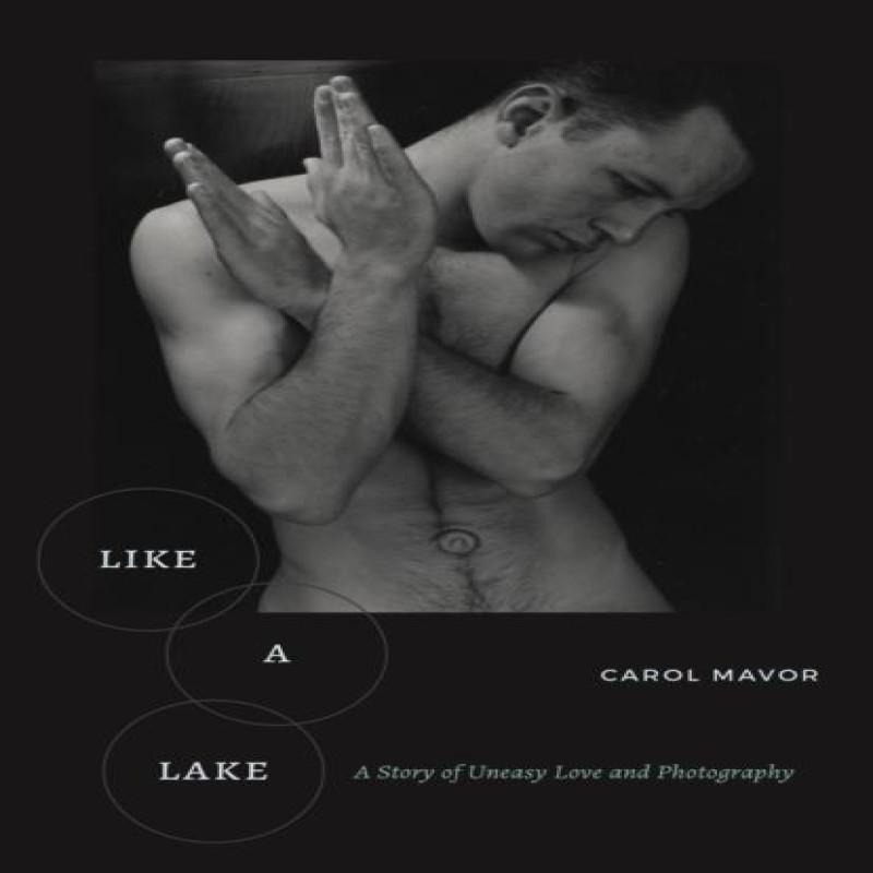 Like a Lake by Carol Mavor Paperback Book 9781531509941
