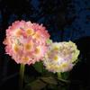 Creative Garden Yard Patio Decorative Solar Flower Lamp Waterproof Wireless LED Light Waterproof Lawn Outdoor Orname