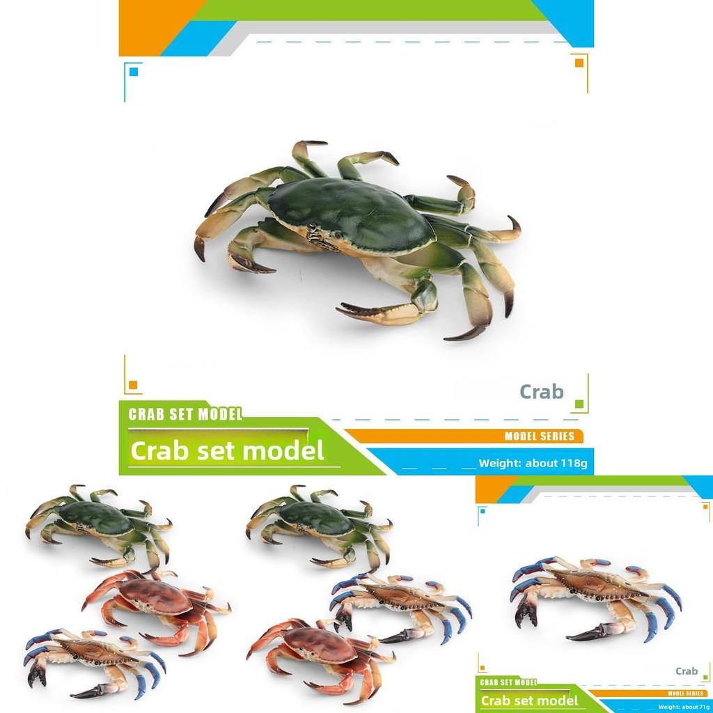 Marine Animal Crab Model With Realistic Design For Desktop Decor