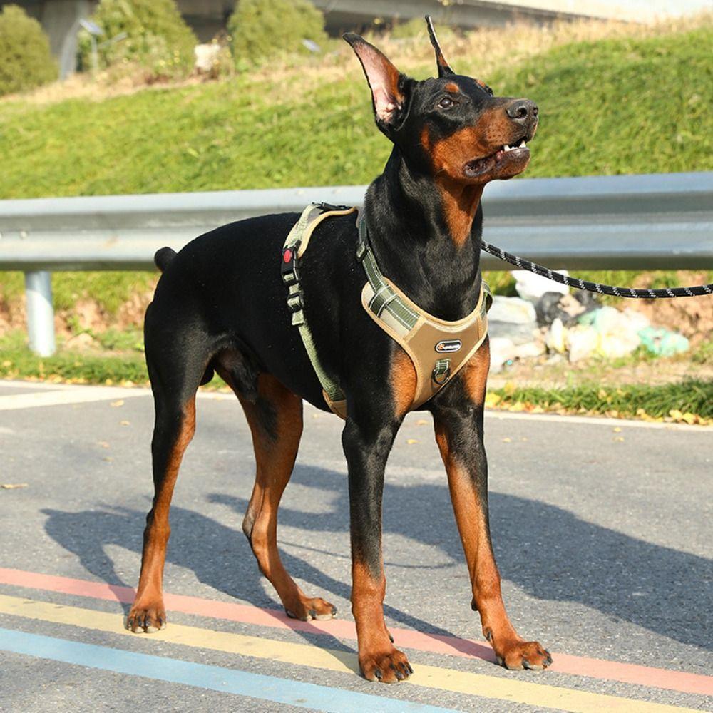 Reflective Dog Chest Strap Adjustable No-Pull Chest Strap Dogs Accessories  Outdoor Use