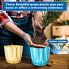 Pack of 5 Round Flower Pots for Home Planters, Terrace, Garden Etc | Multicolor | Suitable for Home Indoor & Outdoor Gardening Plants