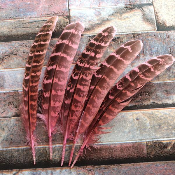 10 Pcs Beautiful High Quality 10-15cm/4-6inches Natural Pheasant Feathers 11 Colors Optional DIY Decorative