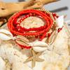 7Pcs/Set Bohemian Resort Style Shell Beaded Weaving Bracelet Beach Style Starfish Rice Beads Wristband Set For Women