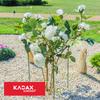 KADAX Floral Support Plant Flower Clip 80 Cm