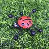 Wall Climbers Insects Rolling Glass Insects Sticky Wall Climbing Capsules Children's Gifts New Strange Toys