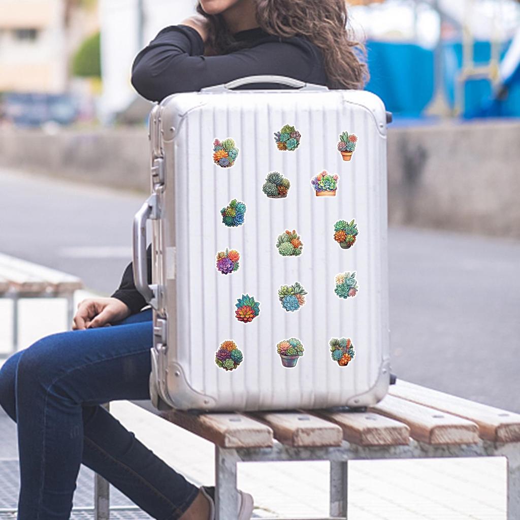 100 Waterproof Succulent Graffiti Stickers for Suitcases, Computers, and Guitars