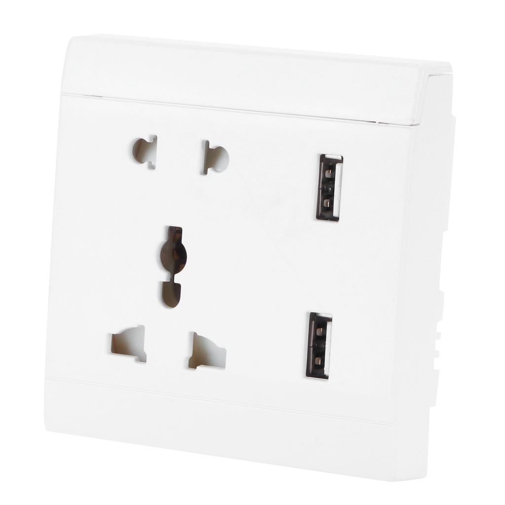 13A Multifunctional Wall Power Outlet Socket with 2 USB Port Home Improvement 110/