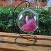 2016 Micro Landscape Hanging Glass Vase: Transparent Iron Frame for Ecological Weddings