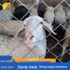 Hot-Dip Galvanized Wire Mesh Fence