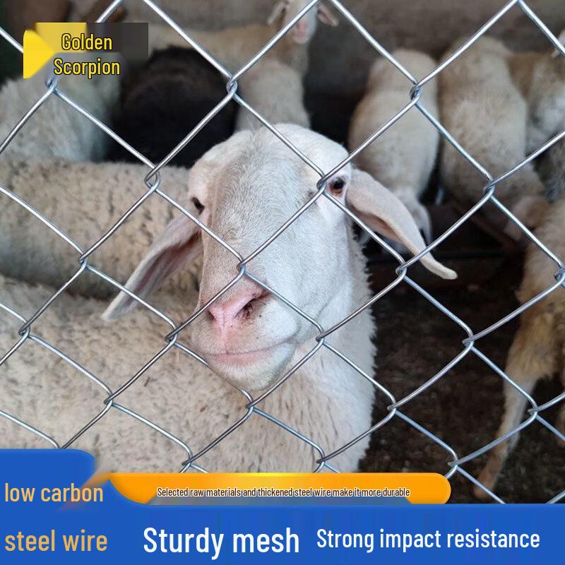 Hot-Dip Galvanized Wire Mesh Fence