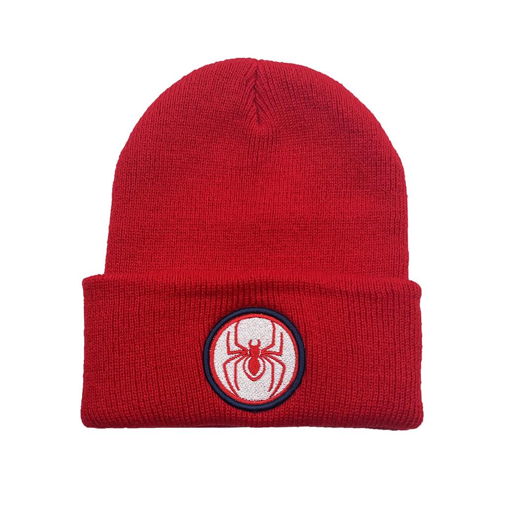 Spider Embroidery Personalized Wool Knitted Hat Student Outdoor Men'S And Women'S Autumn And Winter Warm Hat