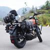 QJ Flash 250 Crash Bar & Rear Rack Kit: Protection Bar, Backrest, Side Bag Accessories