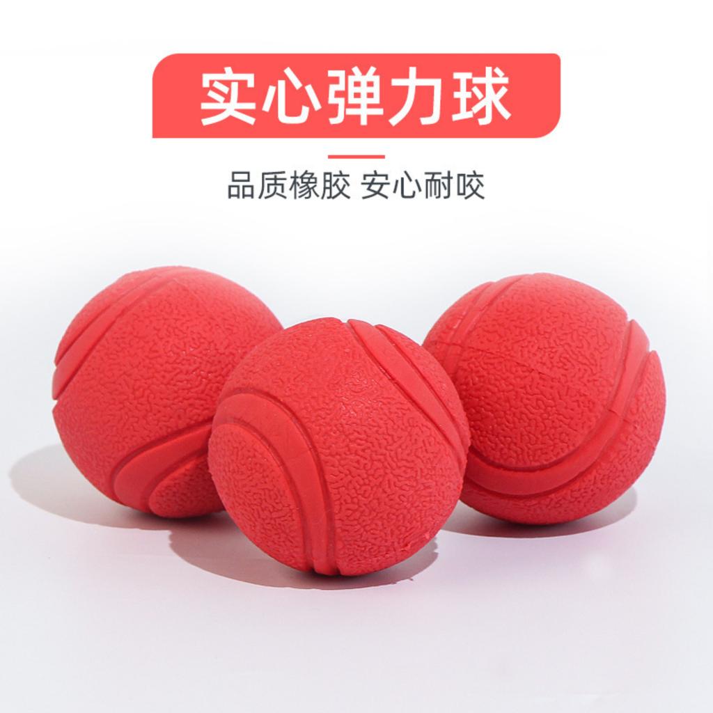 Pet Toy Rubber Elastic Ball Dog Ball Resistant Dog Training Ball Dog Training Ball