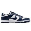 Nike Men's Dunk Casual Skate Shoes