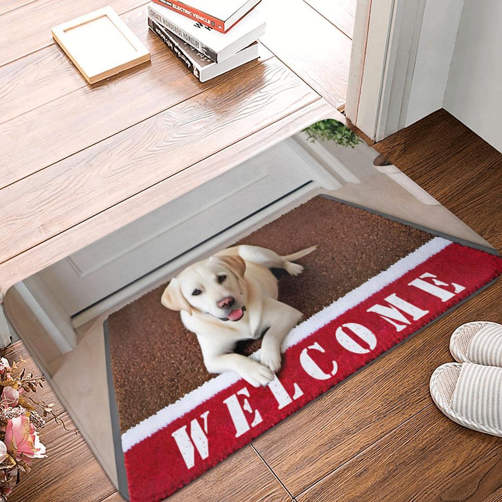 Frenchie Dogs Welcome Doormat Mat Anti-Slip  Kitchen Bathroom Toilet Rug Carpet 40*60cm