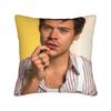 Harrys Styles Singer Pillowcase Soft Polyester Cushion Cover Decorations  Pillow Case Cover Seater Zippered cm