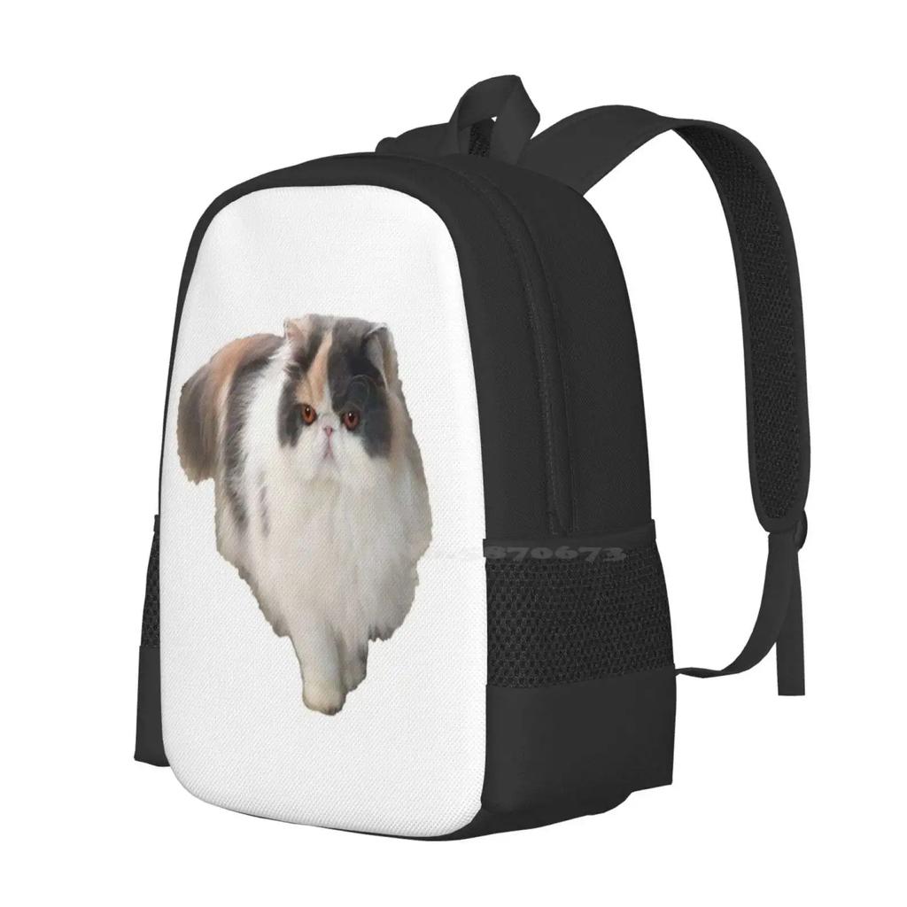 Summer The Persian Cat New Arrivals Unisex Bags Student Bag Backpack Summer Persian Cat Australian Cat Cats Persian Kitten