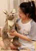 Kangaroo Plush Toy (Gray, 60cm) Parent and Child Kangaroo Animal Celebration Gift