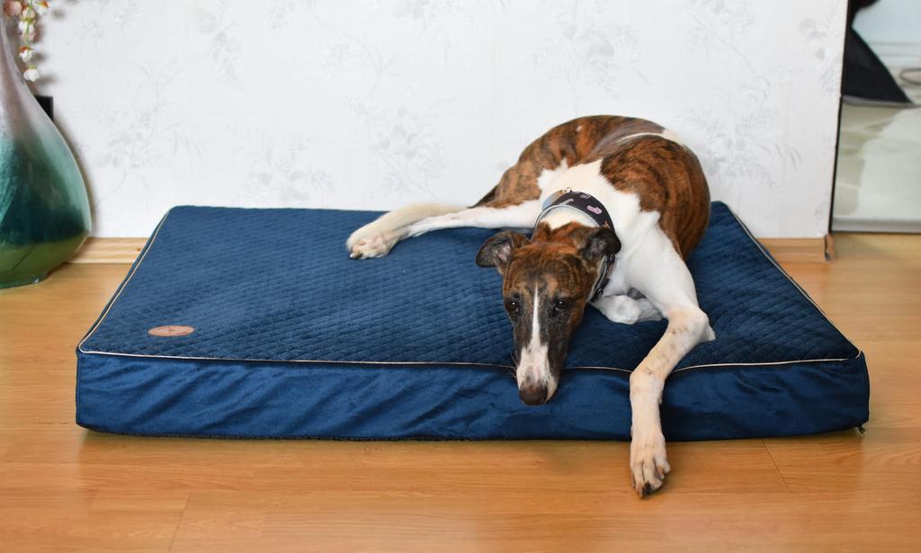 Hector Orthopedic Mattress Navy Blue Velvet Karo - 85 X 70 X 10