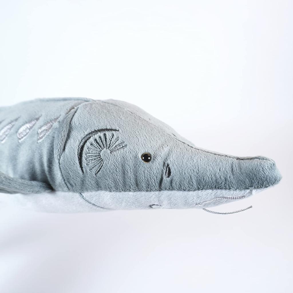 Exciting Illustrated Guide - Freshwater Creatures Edition Animal Plush Toy (Sturgeon)