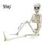 Posable Plastic Skeleton for Home Decor Realistic Halloween Figure, 40cm Joints Hanging Skull Decoration, Decorative Skeletons Porch Mini Bones
