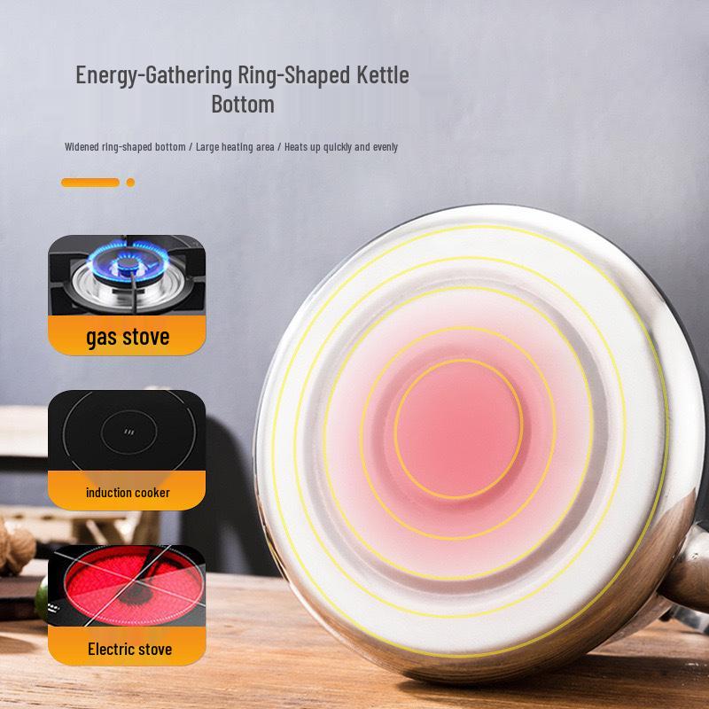 Stainless Steel Whistling Kettle for Induction & Gas Stoves - Large Capacity