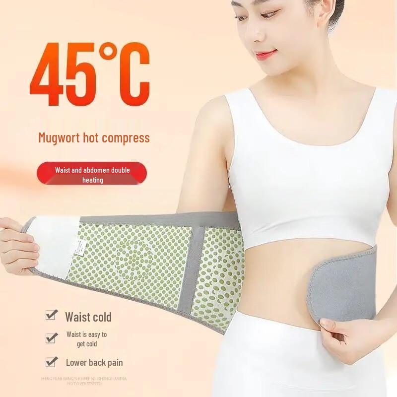 

Shansheng Wormwood Thermal Waist Support Belt