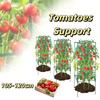 Heavy-Duty Steel Tomato Cages Durable Garden Trellis Plant Climbing Trellis  Patio Garden