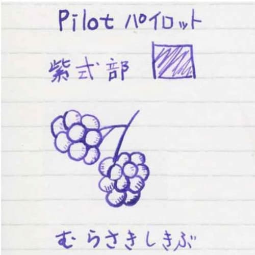 Pilot Fountain Pen Ink Iroshizuku INK-50-MS Murasakikibu