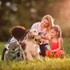 Quietschspielzeug für Hunde aus doppelschichtigem, verstärktem Stoff in Knisterform, langlebiges Plüsch-Körperspielzeugset ohne Füllung für kleine und große Hunde – Waschbärenform
