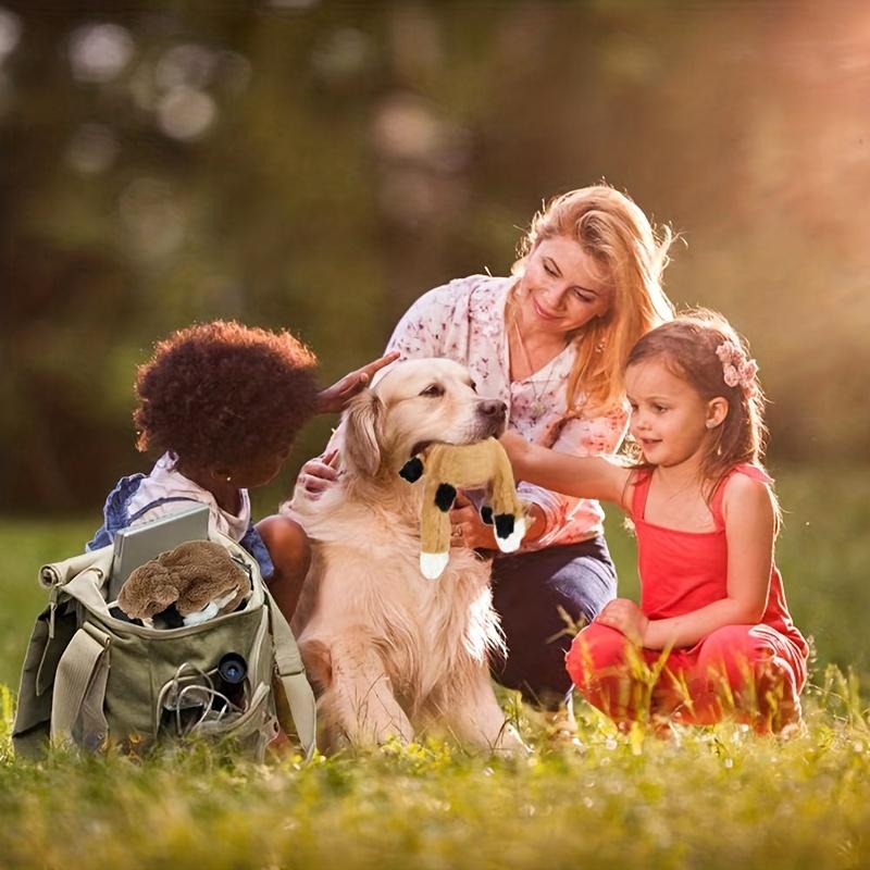 Quietschspielzeug für Hunde aus doppelschichtigem, verstärktem Stoff in Knisterform, langlebiges Plüsch-Körperspielzeugset ohne Füllung für kleine und große Hunde – Waschbärenform