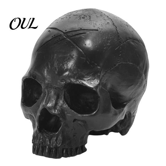 Thick Texture Skull Decor Resin Ornament, Dark Style Halloween Prop, Sturdy Ornament Durable Teaching Model, Matte Black Anatomy Model Retro