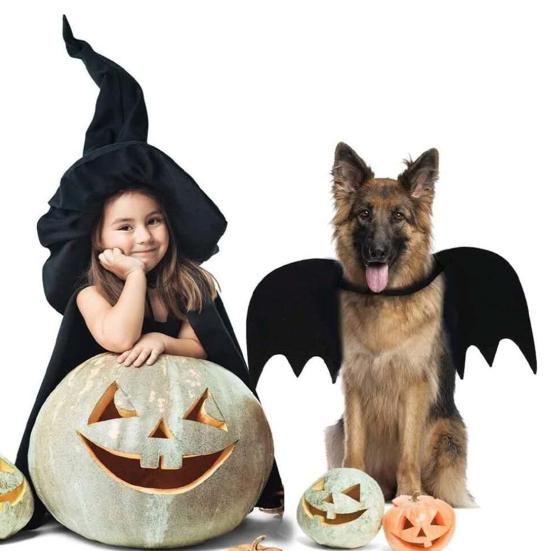 Cat Bat Wing Pet Cosplay Bat Costume Felt Dog Cat Bat Wings Apparel for Halloween Party Dress Up Accessory