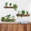 3D Green Plant Wall Stickers Bonsai Tropical Self Adhesive Removable Vinyl Decals for Living Room Bedroom Home Office Decor