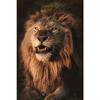 Black White Animals Art Lions Oil Painting Canvas Art Posters and Prints Wall Pictures for Living Room Home Wall Decor