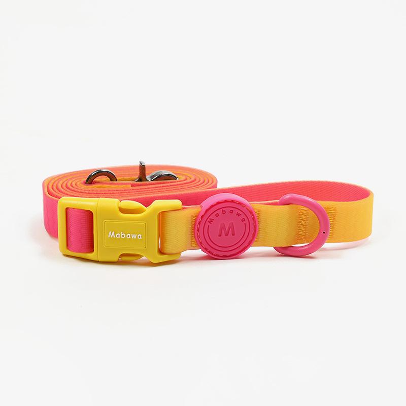 Waterproof Dog Collar with Leash for Small, Medium, and Large Dogs - Ideal for French Bulldogs