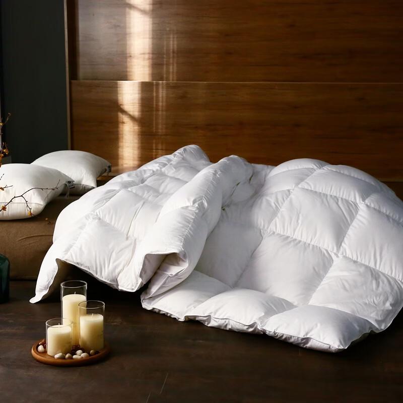 Baiweisi All-Season Velvet Feel Duvet Insert