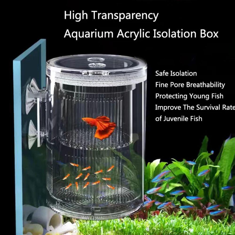 

Plastic Mesh Floating Fish Breeding Isolation Box for Fish Tank Small