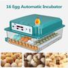 16 Eggs Incubators for Chicken Duck Goose Pigeon Quail Automatic Incubation Equipment Automatic Water Feeder Egg Turning EU Plug