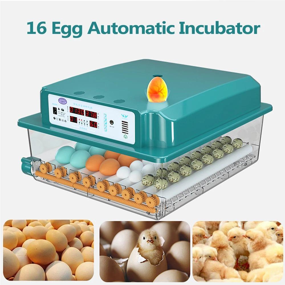 16 Eier Inkubatoren für Huhn Ente Gans Taube Wachtel Automatische Brutausrüstung Automatischer Wasserspender Eierwender EU-Stecker