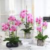 Plastic Artificial Plant Real Touch Fake Plant Simulation Plant Decorative Plant  Decorative