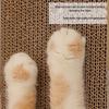 Cat Turntable Teaser Toy with Pillar
