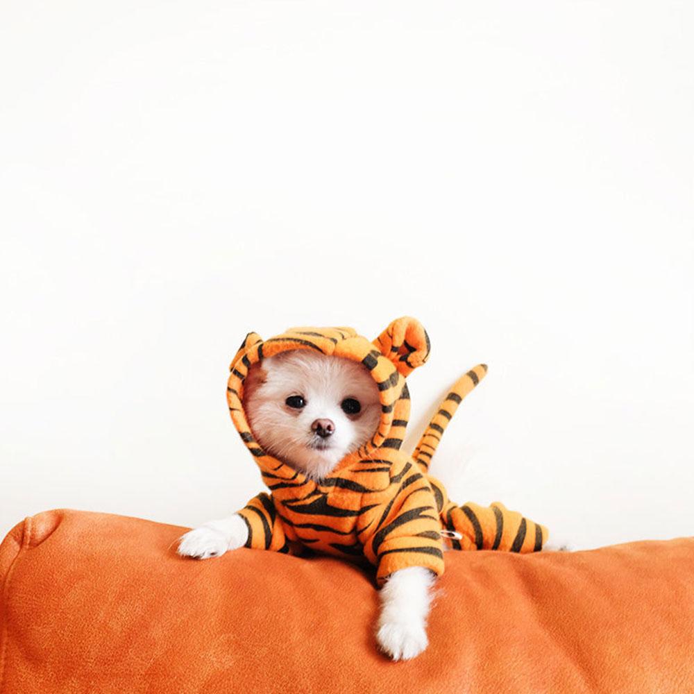Bequeme Tiger-Muster Haustier-Kapuzenjacke Klein und Extra Klein Hund und Katze Cosplay Kleidung Haustier Kostüm Jacke Welpe Katze Jacke