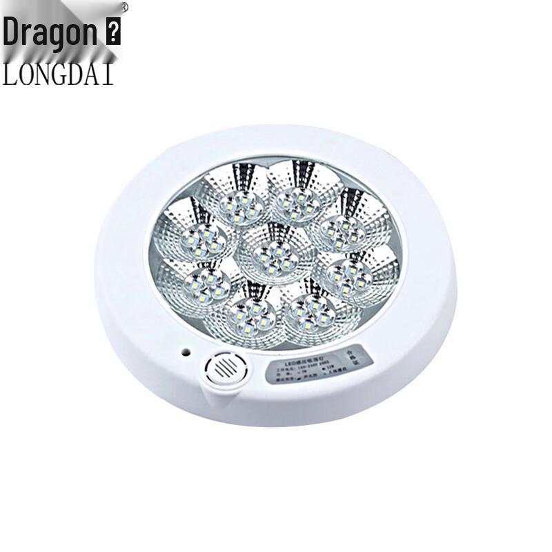 Longdai LED Smart Sensor Ceiling Light for Corridors
