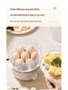 Compact Stainless Steel Automatic Egg Boiler with Auto-Off