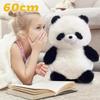 Plush Toys, Cute And Perfect Birthday Gifts For Friends And Classmates, Graduation Gifts