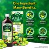 Dabur Pure Amla Juice 1 L Bottle Natural Indian Gooseberry Drink Rich Source Of Vitamin C Herbal Wellness Beverage