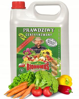 Zatravnění a úprava terénu