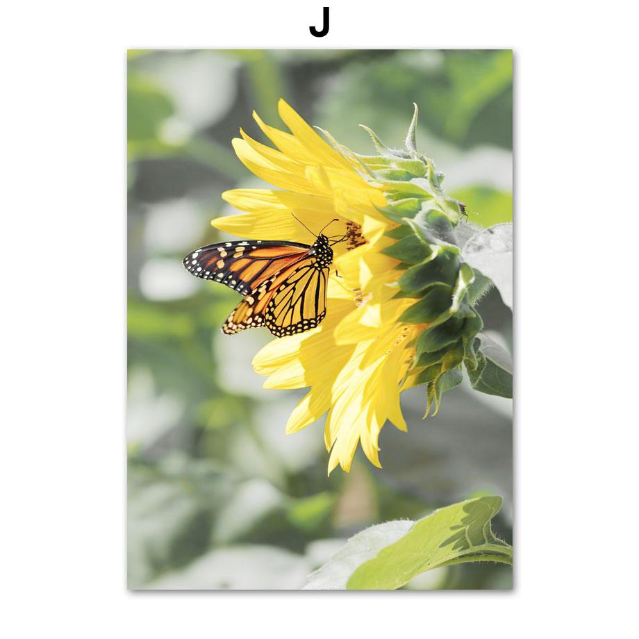 

Поле Подсолнух Маргаритка Птица Город Ферма Пейзаж Настенная Живопись Холст Картина Скандинавские Плакаты И Печати Картины Для Декора Гостиной 21x30cm No Framed